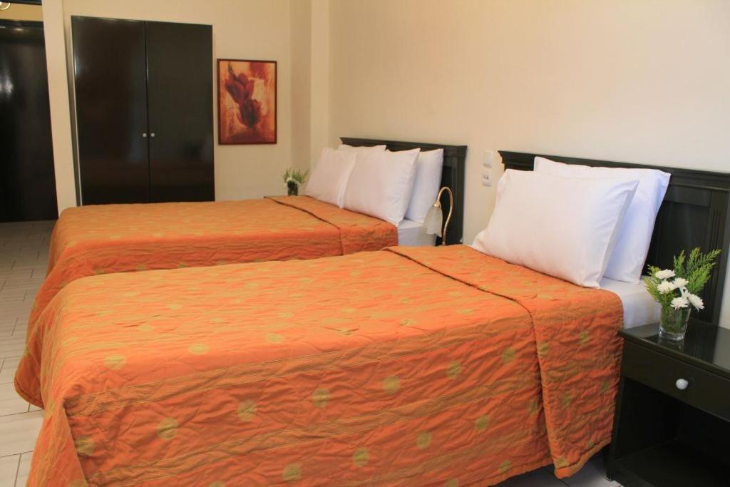 Famissi Eden Hotel Kalambaka Pokoj fotografie