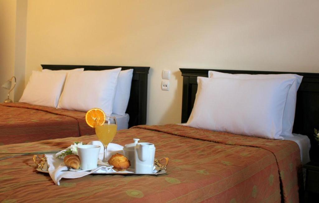 Famissi Eden Hotel Kalambaka Pokoj fotografie